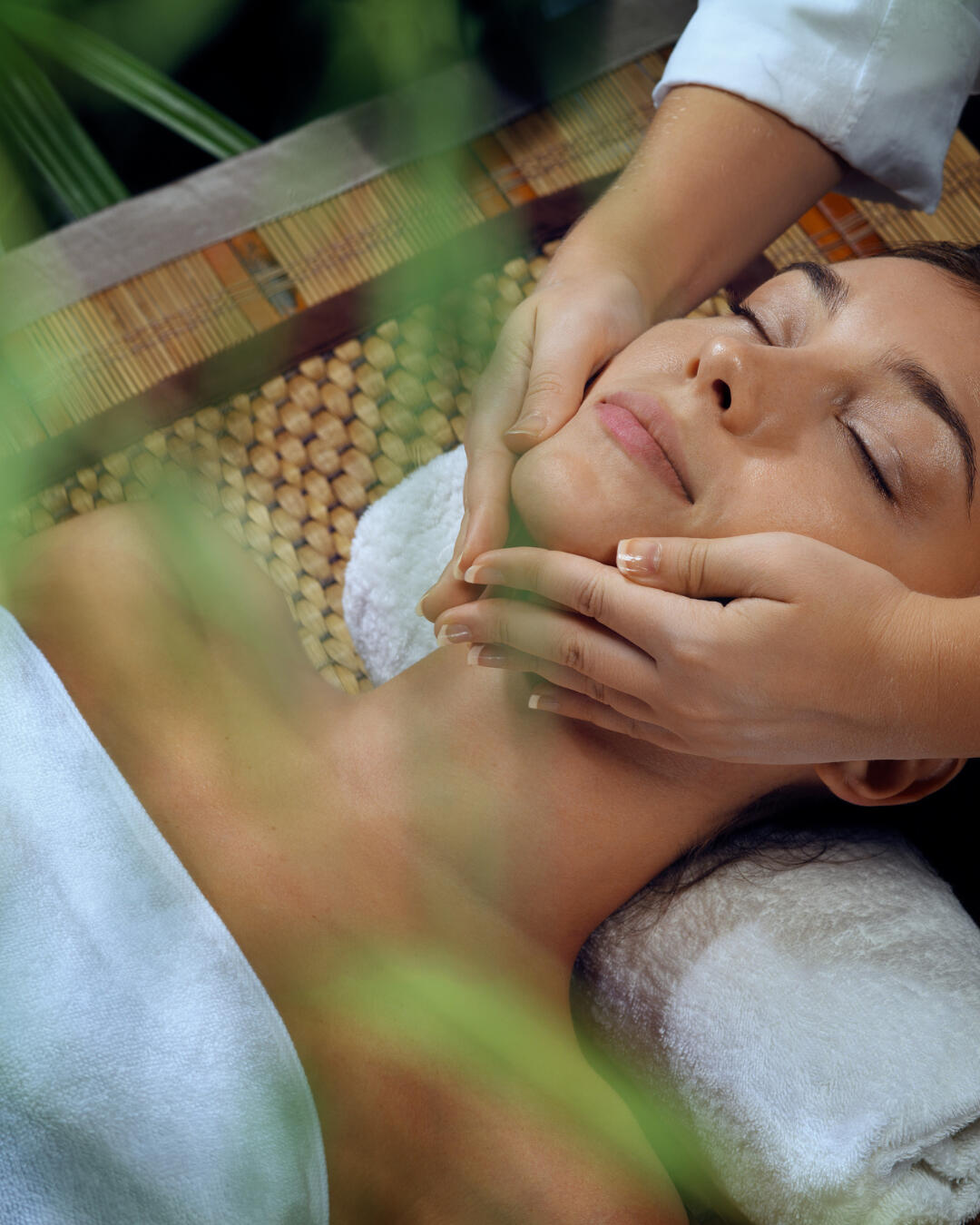 duo armonia duo armonia